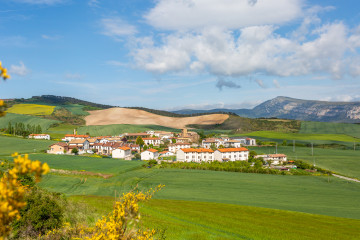 Casas o chalets-Venta-Cizur-823771