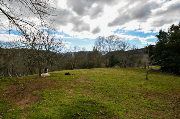Casas o chalets-Venta-Cabranes-792620-Foto-3-Carrousel