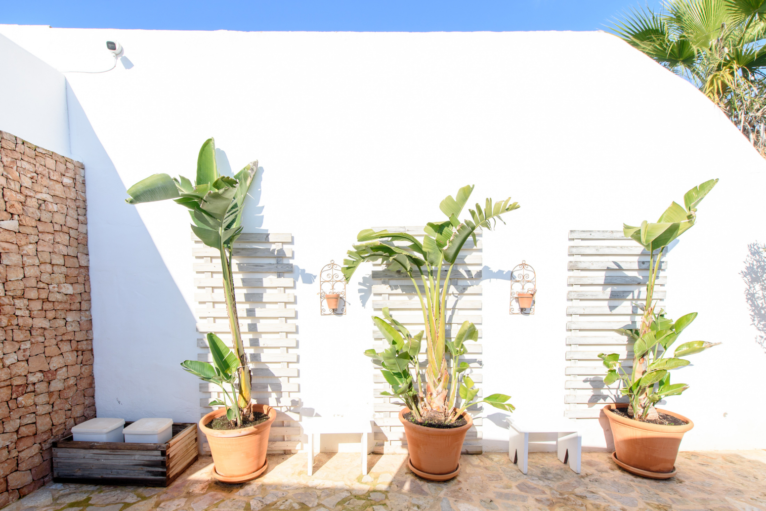 Casas o chalets-Venta-Formentera-783722-Foto-55