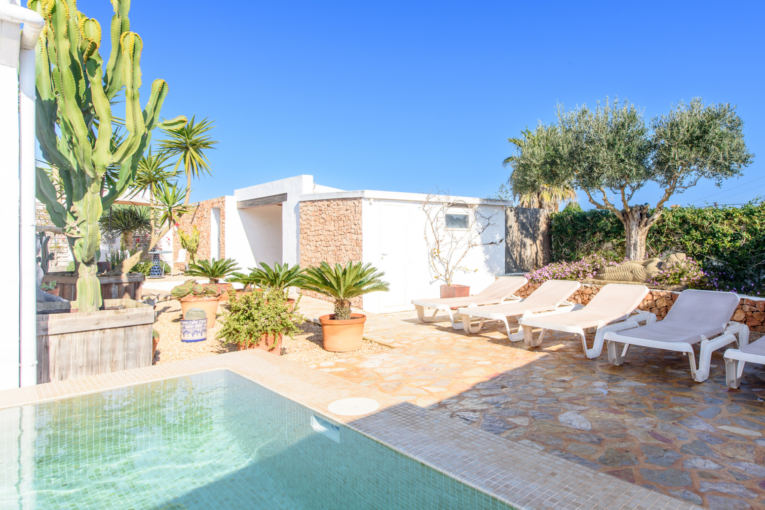 Casas o chalets-Venta-Formentera-783722-Foto-1