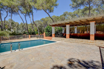 Casas o chalets-Alquiler-Santa Eulalia del Río-806128