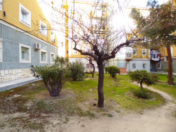 Jardín