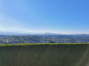 Vistas
