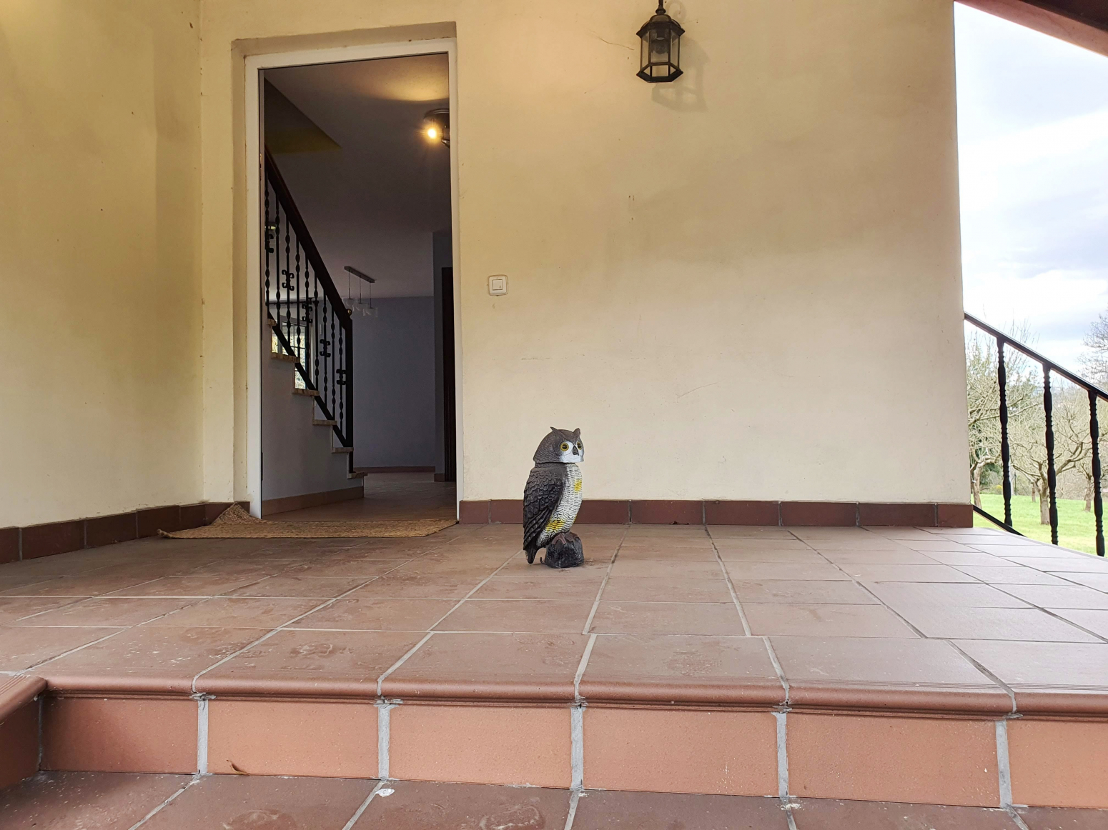 Casas o chalets en Venta en Siero Ref 2747 Foto 79