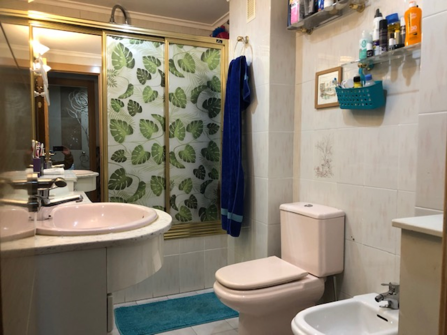 Pisos-Venta-AvilÃ©s-735871-Foto-22