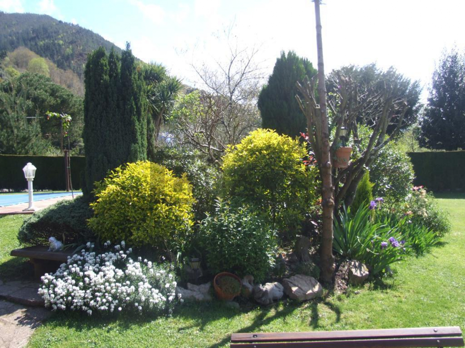 Casas o chalets-Venta-Cangas de OnÃ­s-788138-Foto-57