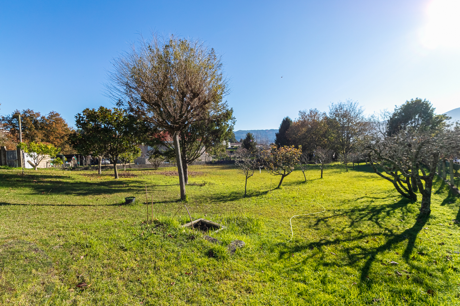 Casas o chalets-Venta-NigrÃ¡n-639414-Foto-43