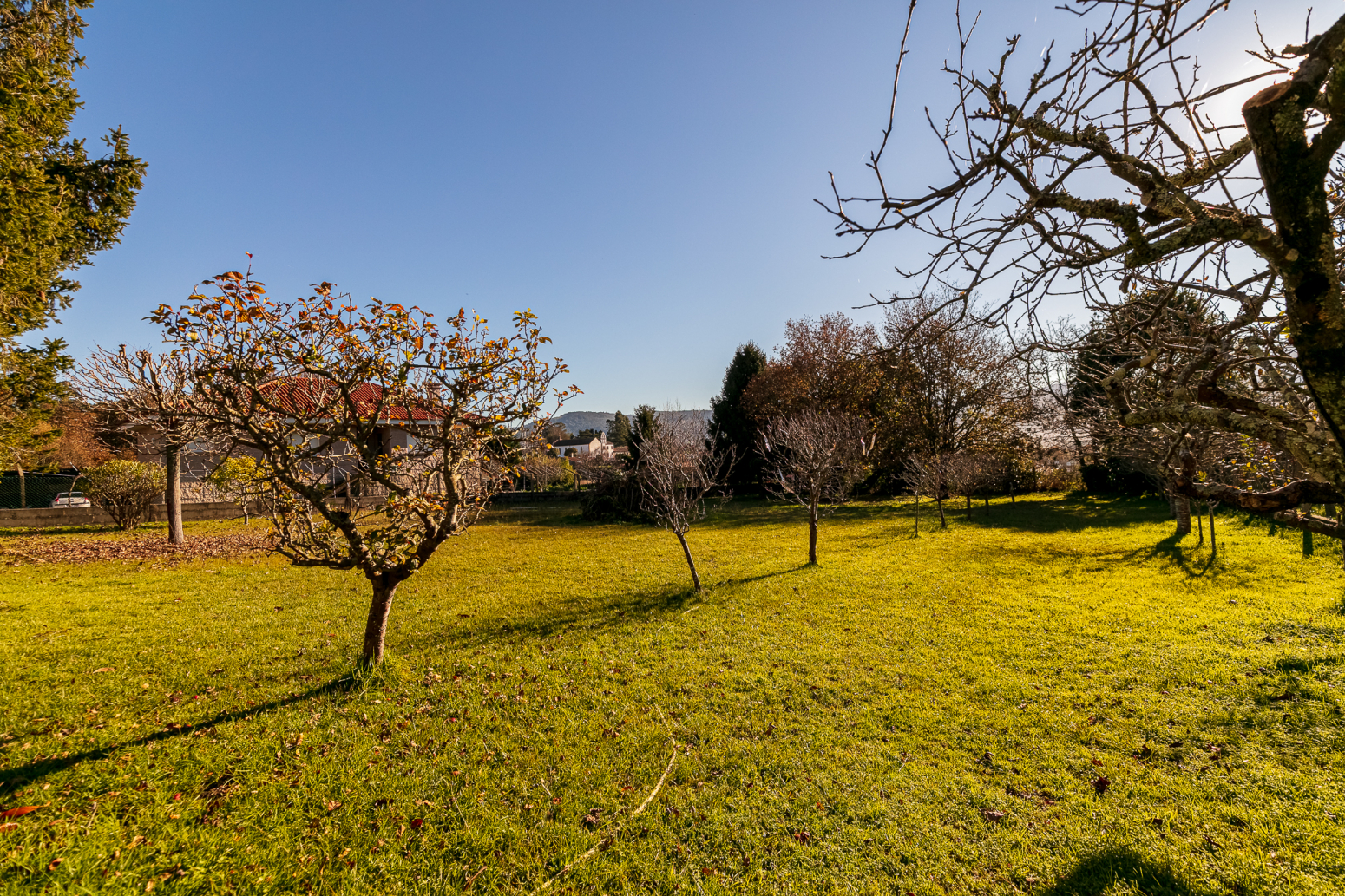 Casas o chalets-Venta-NigrÃ¡n-639414-Foto-42