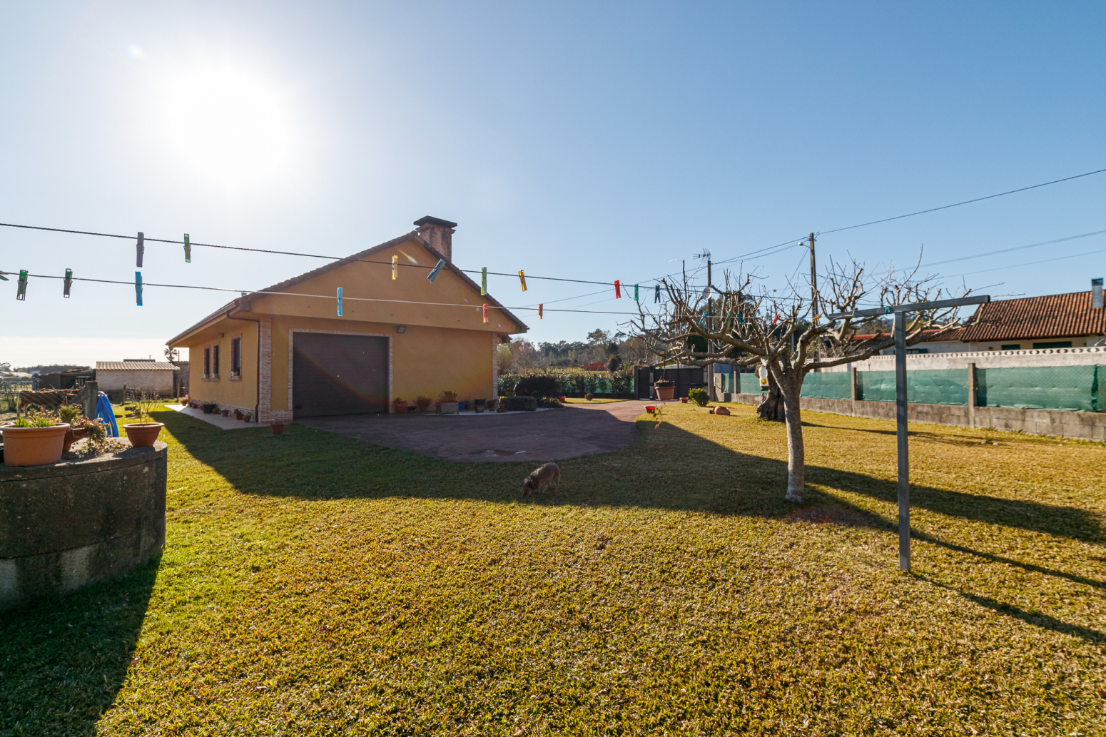 Casas o chalets-Venta-TomiÃ±o-671049-Foto-34