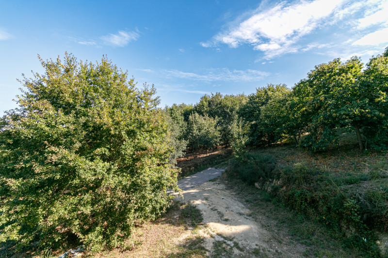 Casas o chalets-Venta-PantÃ³n-725194-Foto-35