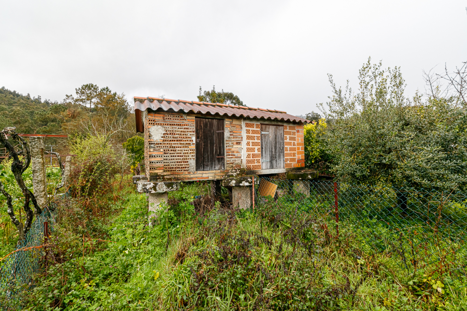 Casas o chalets-Venta-A CaÃ±iza-775361-Foto-43