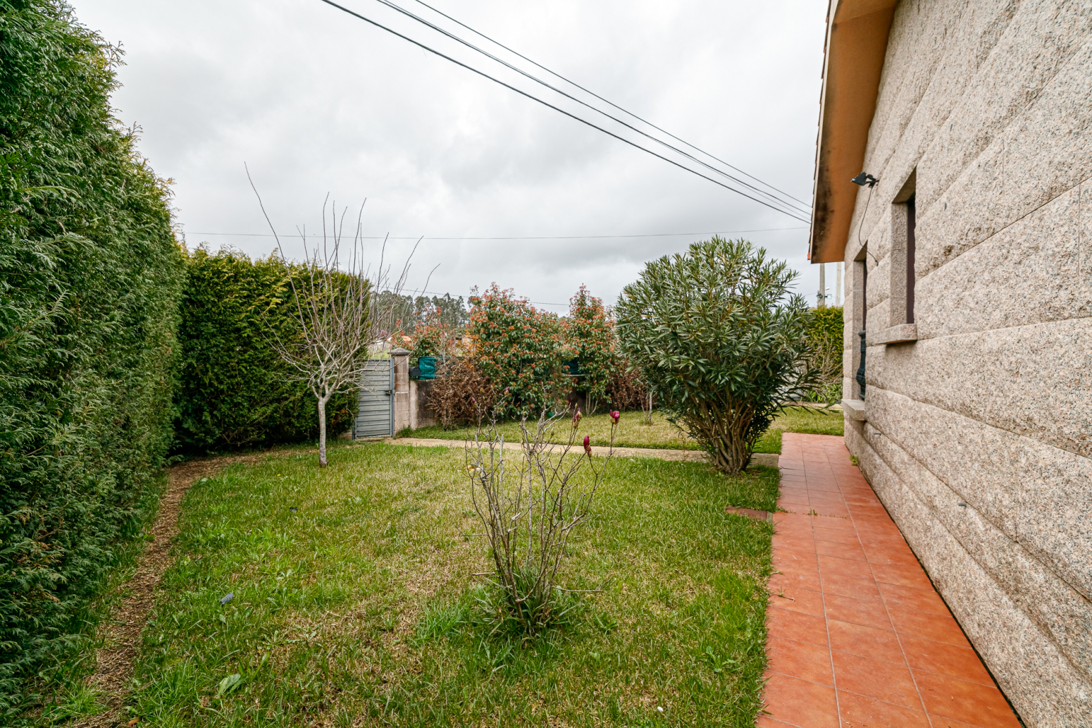 Casas o chalets-Venta-TomiÃ±o-808956-Foto-28