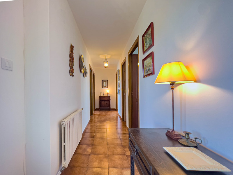 Casas o chalets-Venta-TomiÃ±o-809929-Foto-9