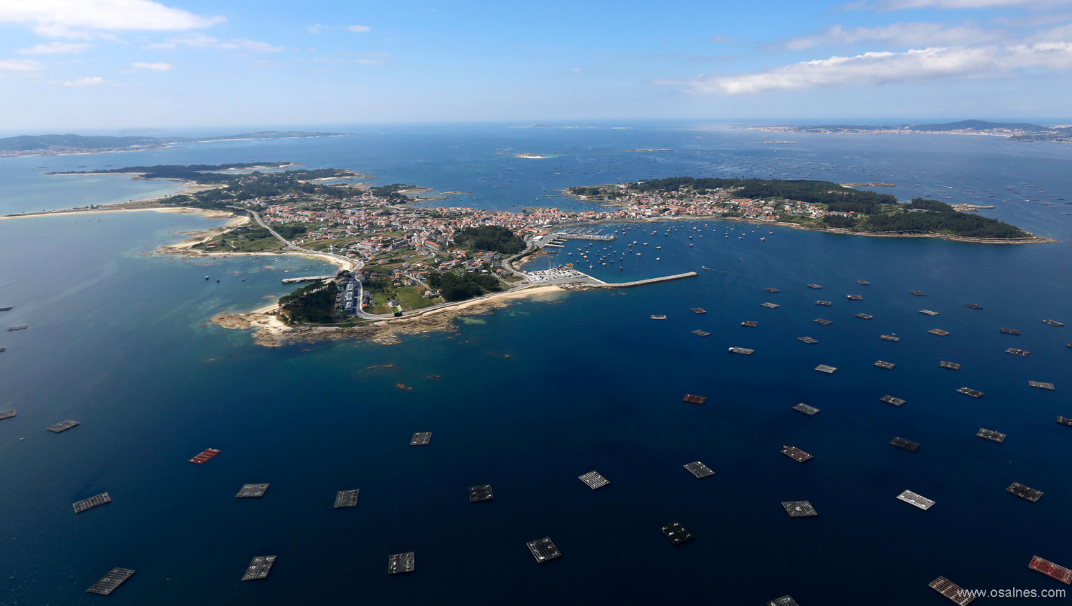 Casas o chalets-Venta-Pontevedra-819719-Foto-53