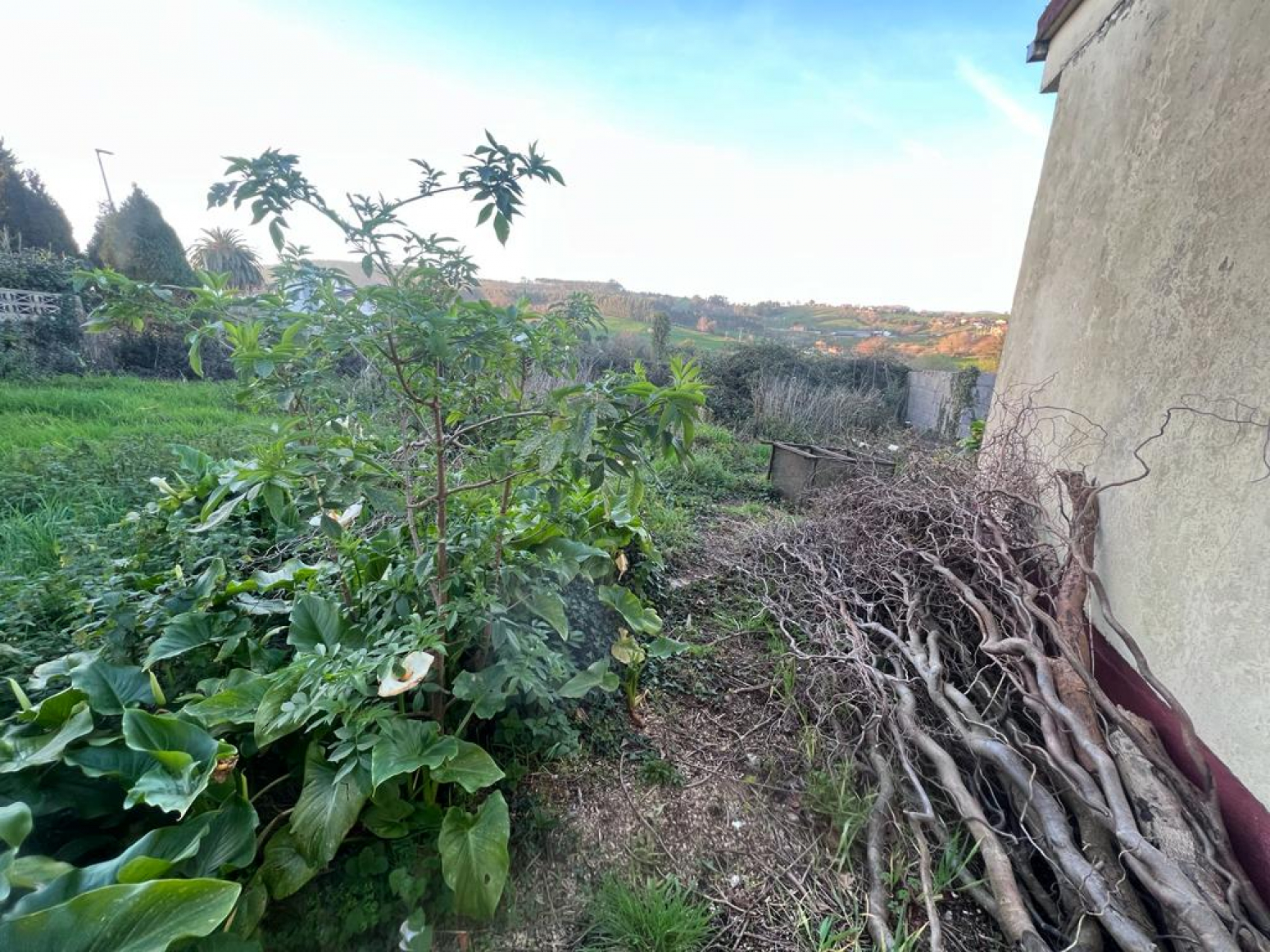 Casas o chalets-Venta-ReocÃ­n-822038-Foto-7