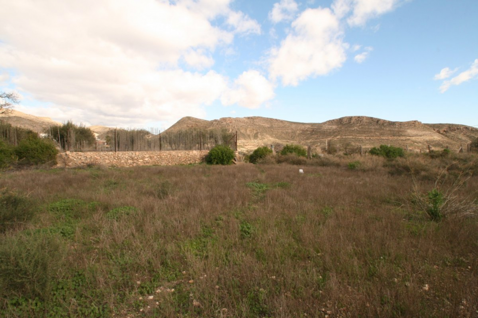 Fincas y solares-Venta-NÃ­jar-501076-Foto-5