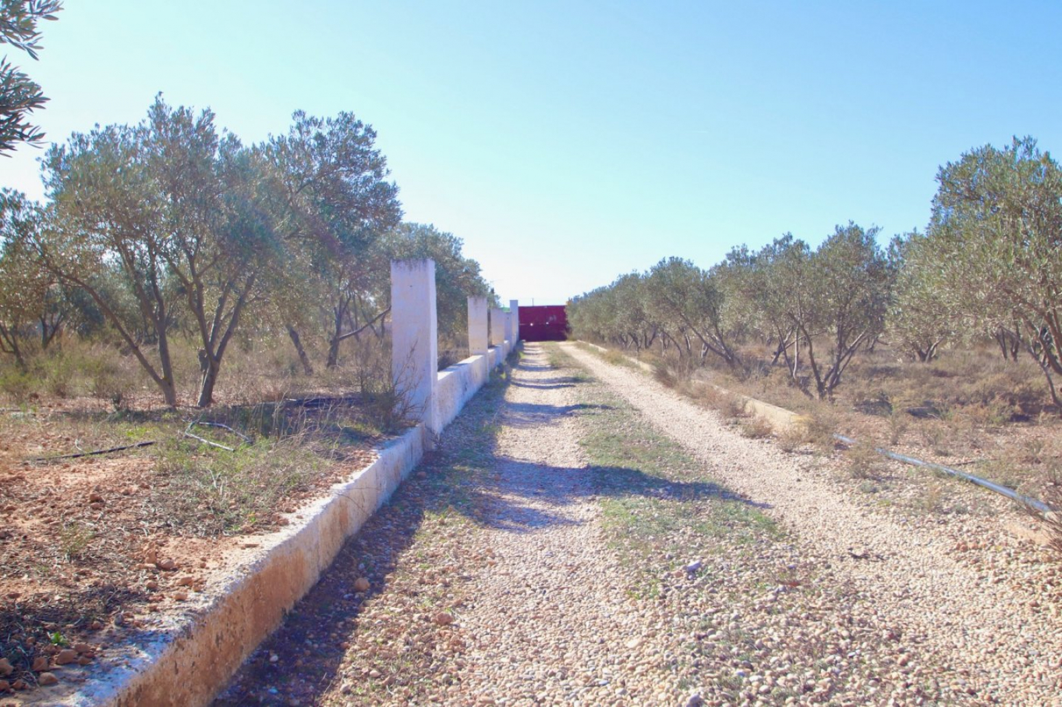 Casas o chalets-Venta-NÃ­jar-675939-Foto-28