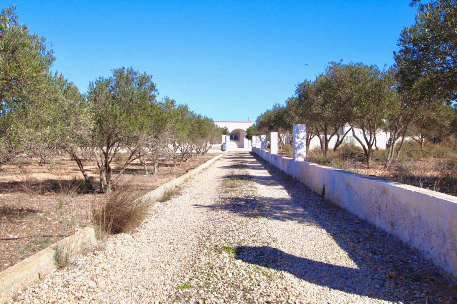 Casas o chalets-Venta-NÃ­jar-675939-Foto-27