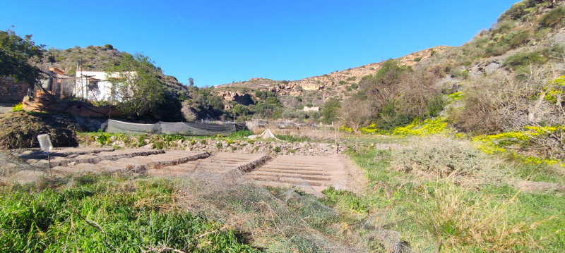 Casas o chalets-Venta-Sorbas-740042-Foto-3