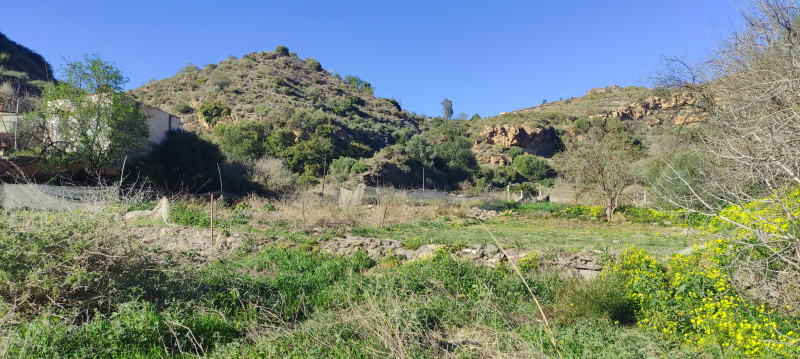Casas o chalets-Venta-Sorbas-740042-Foto-33