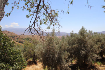 Vistas