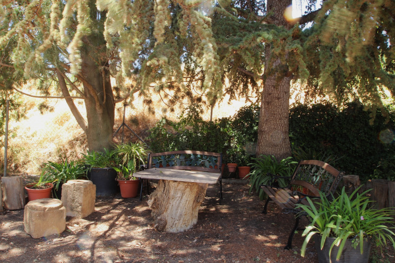 Casas o chalets-Venta-VÃ¡lor-741619-Foto-4