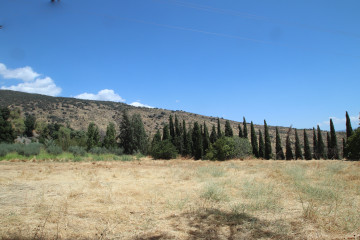 Vistas