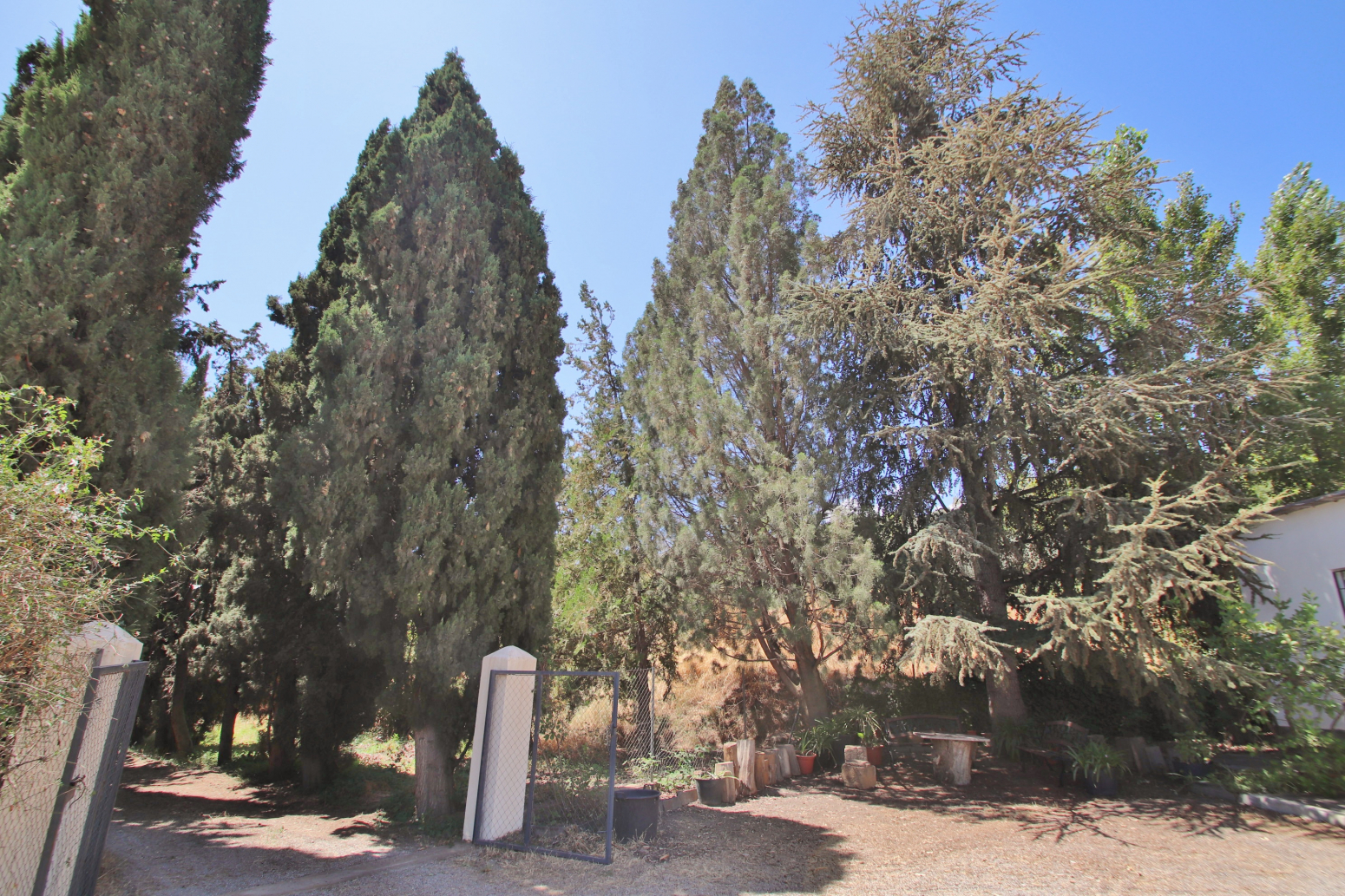 Casas o chalets-Venta-VÃ¡lor-741619-Foto-3