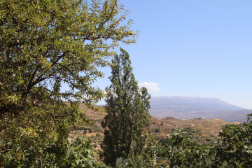 Vistas