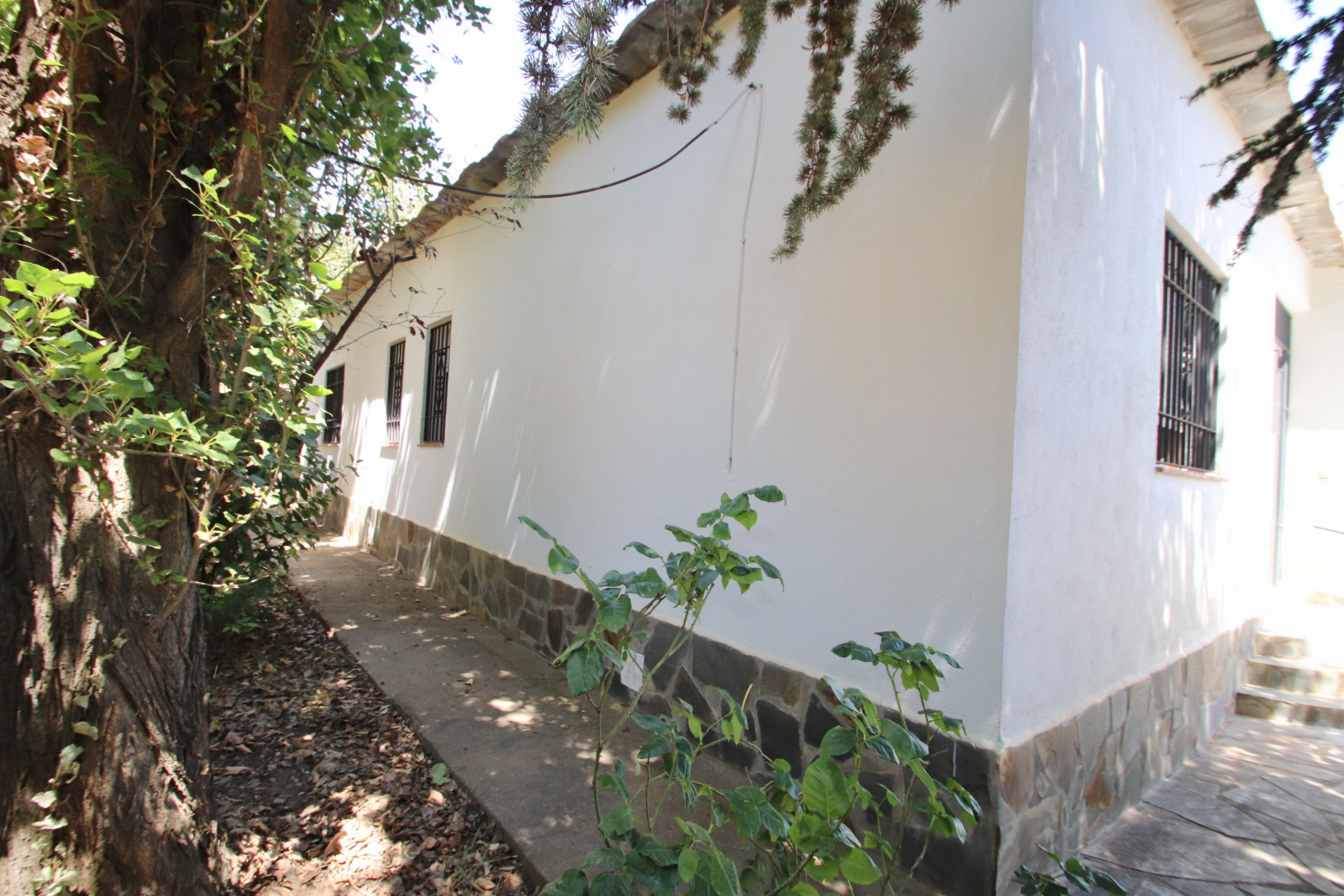 Casas o chalets-Venta-VÃ¡lor-741619-Foto-33