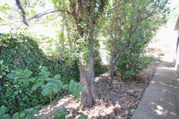 Jardín
