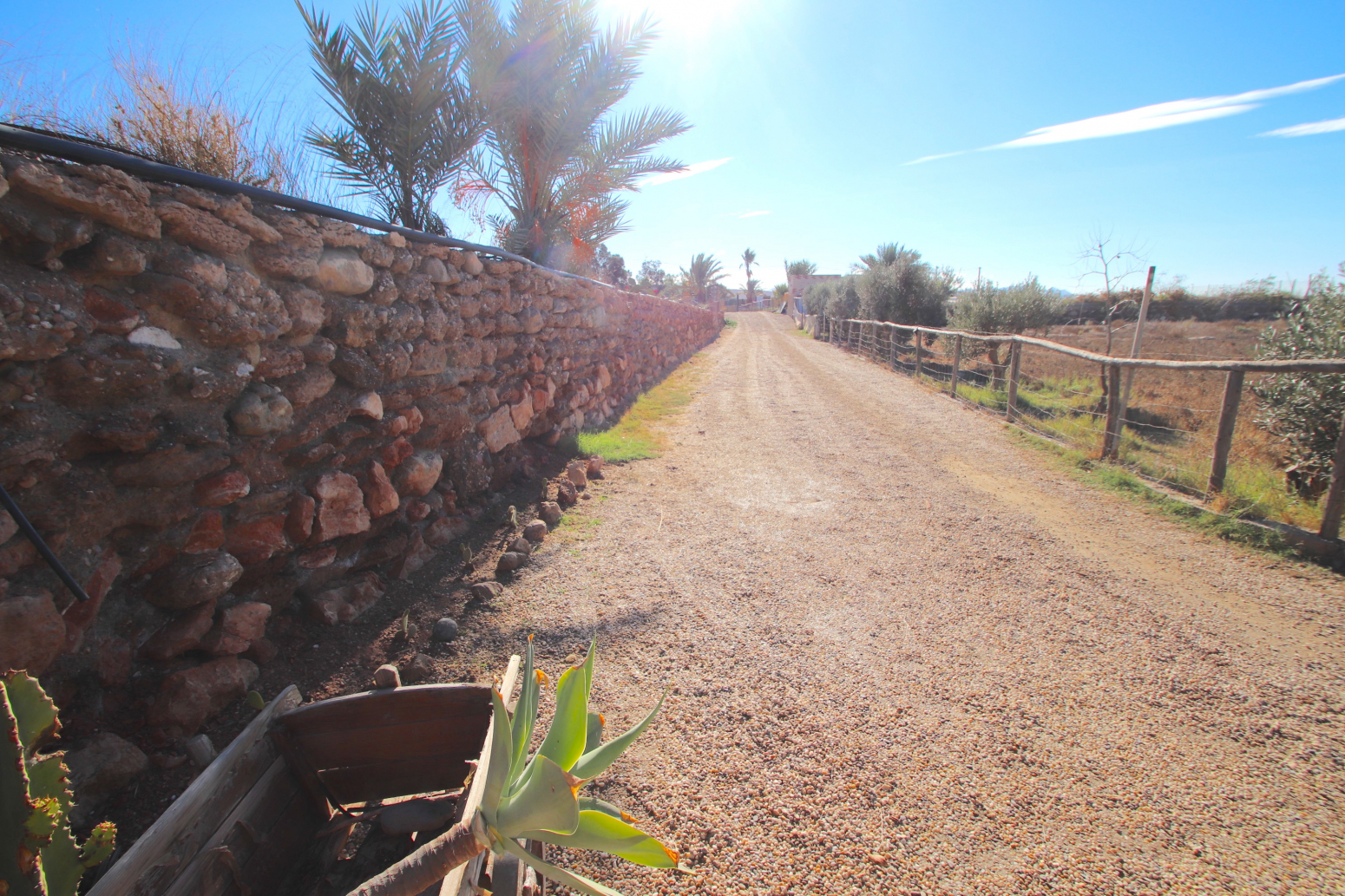 Casas o chalets-Venta-NÃ­jar-778427-Foto-19