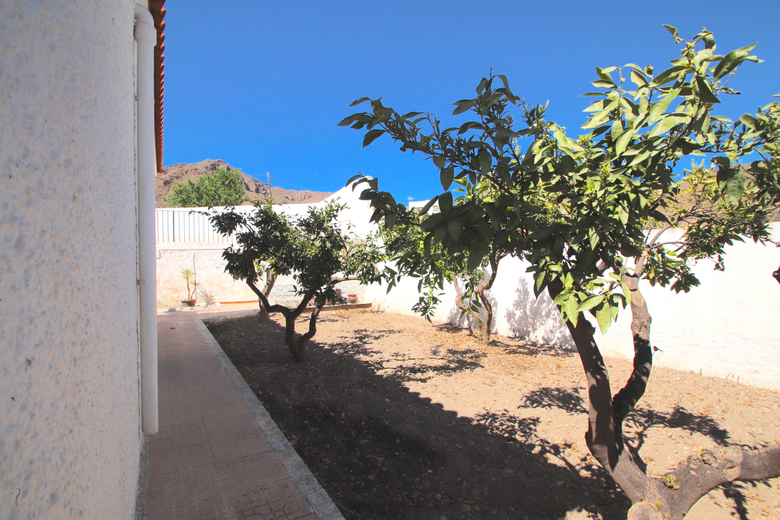 Casas o chalets-Venta-NÃ­jar-815554-Foto-36