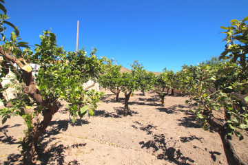 Casas o chalets-Venta-NÃ­jar-815554-Foto-52-Carrousel