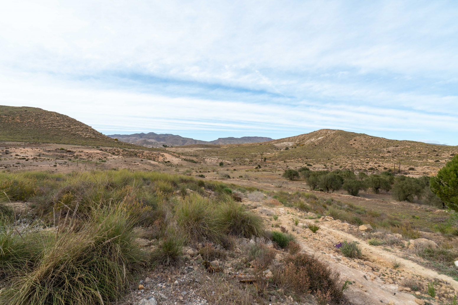 Casas o chalets-Venta-Carboneras-818584-Foto-48