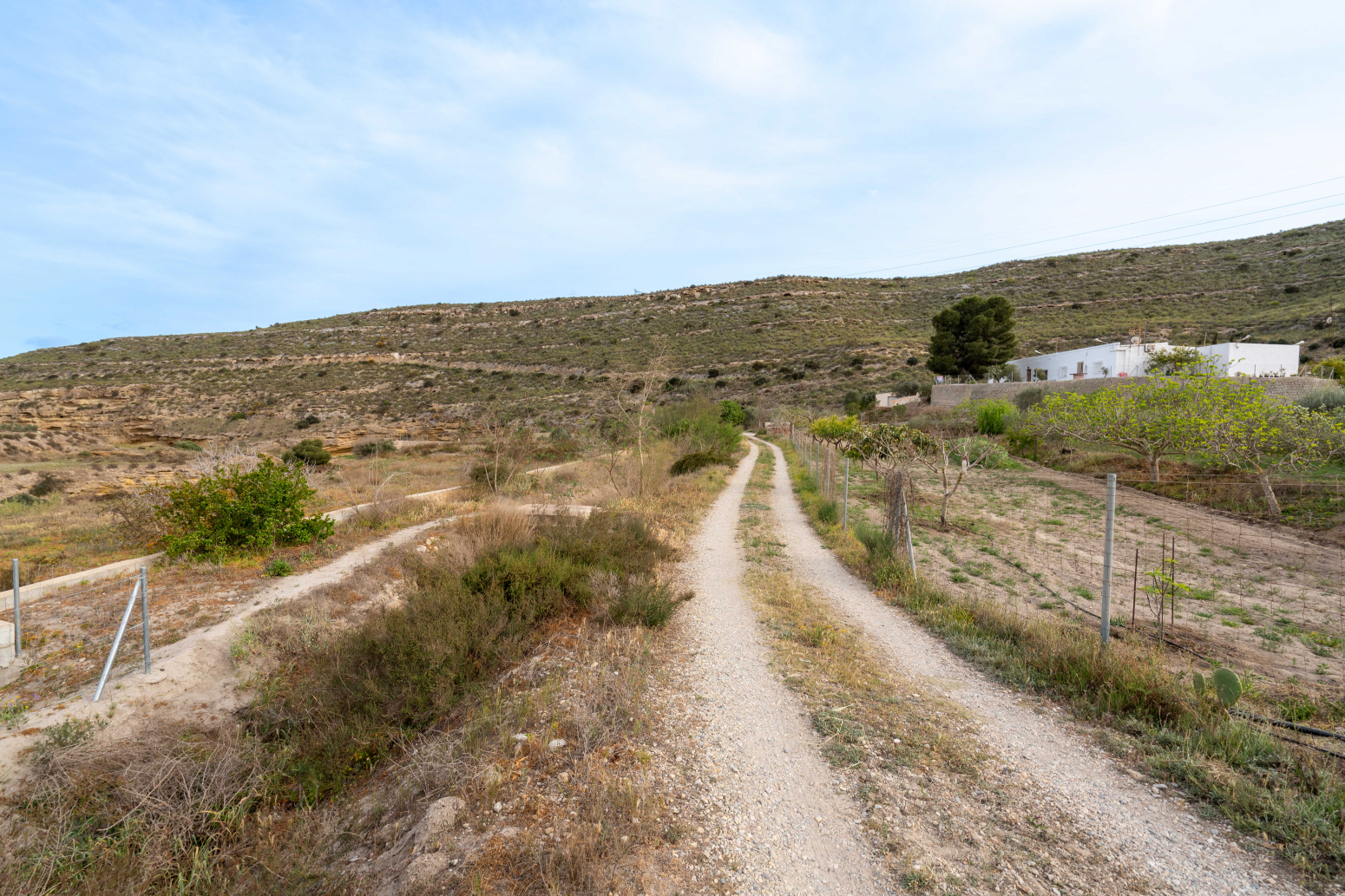 Casas o chalets-Venta-Carboneras-818584-Foto-39