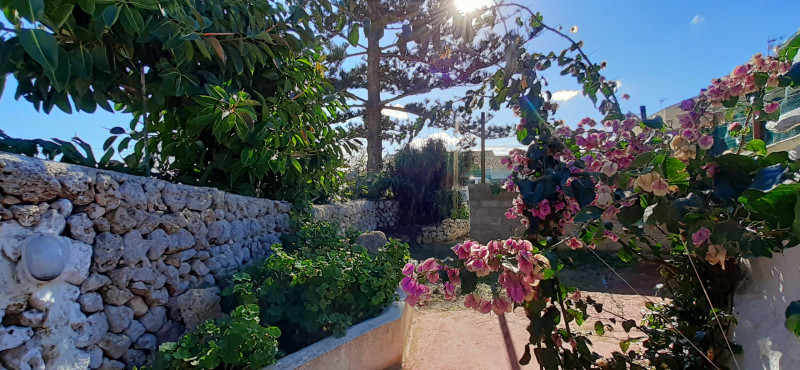 Casas o chalets-Venta-MaÃ³-733580-Foto-4