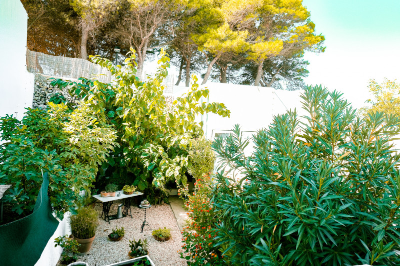 Casas o chalets-Venta-Alaior-738075-Foto-9