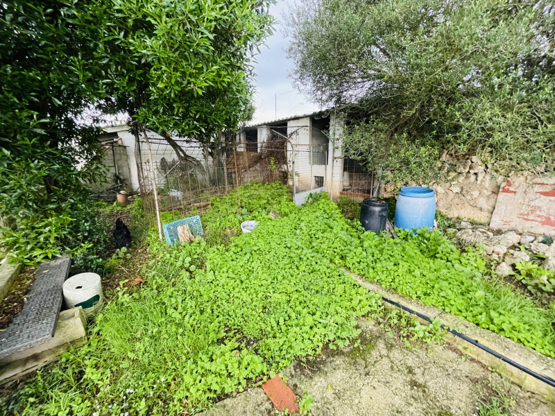 Casas o chalets-Venta-Es Migjorn Gran-777039-Foto-7