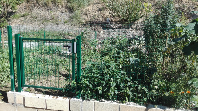 LONJA Y HUERTO URBANO EN VENTA EN BERANGO