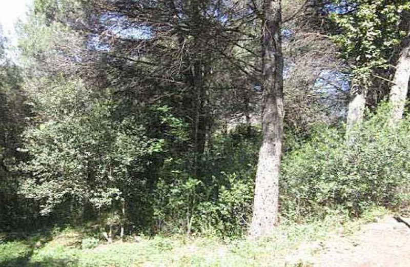 Terreno urbano de 997 m² en venta en Seva — av. Pau Casals - foto 1