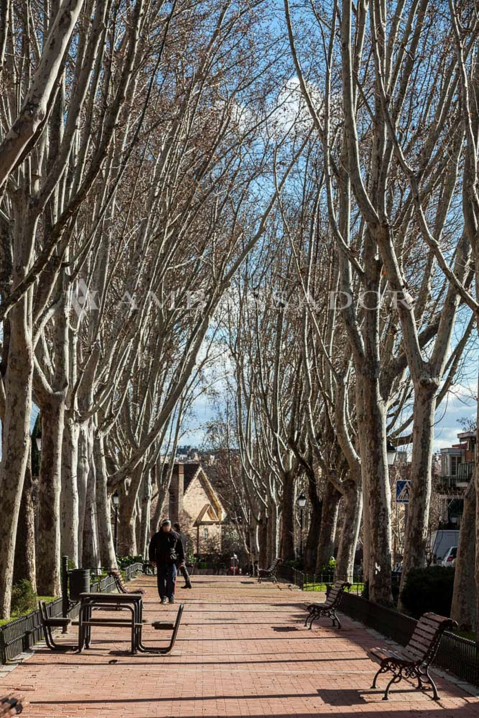 Chalet en alquiler en Aravaca-Diplomáticos