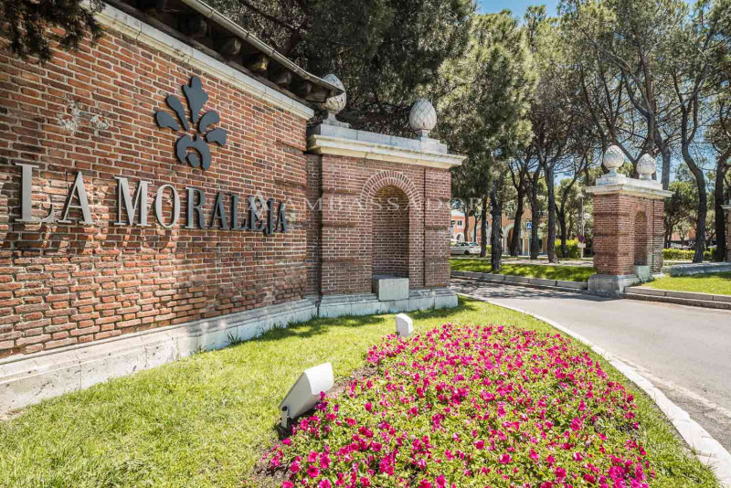 Parcela en La Moraleja