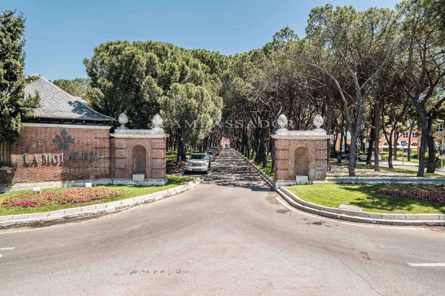 Chalet en alquiler en La Moraleja