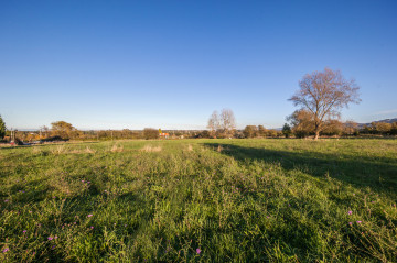 Fincas y solares-Venta-GijÃ³n-773761-Foto-16-Carrousel