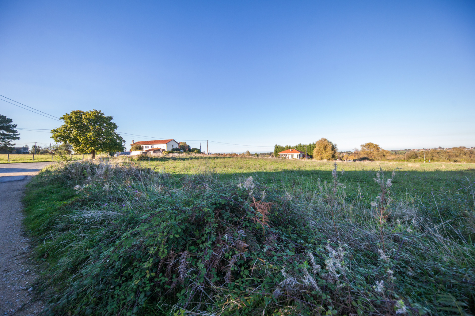 Fincas y solares-Venta-GijÃ³n-774142-Foto-7