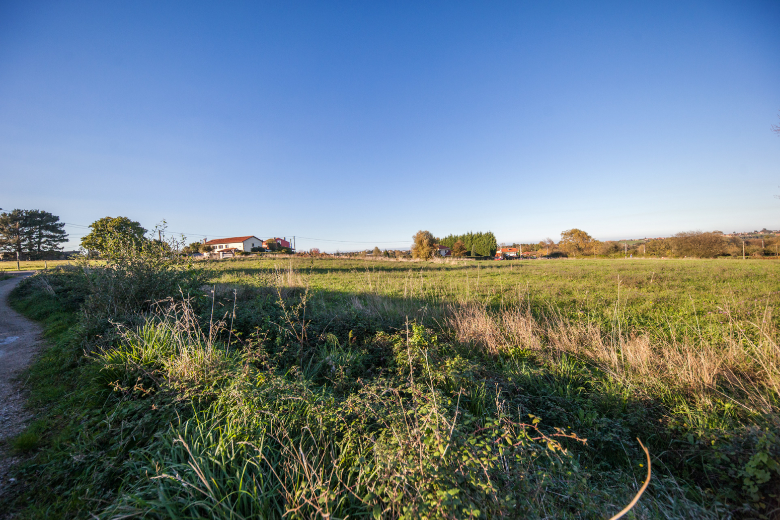 Fincas y solares-Venta-GijÃ³n-774142-Foto-9