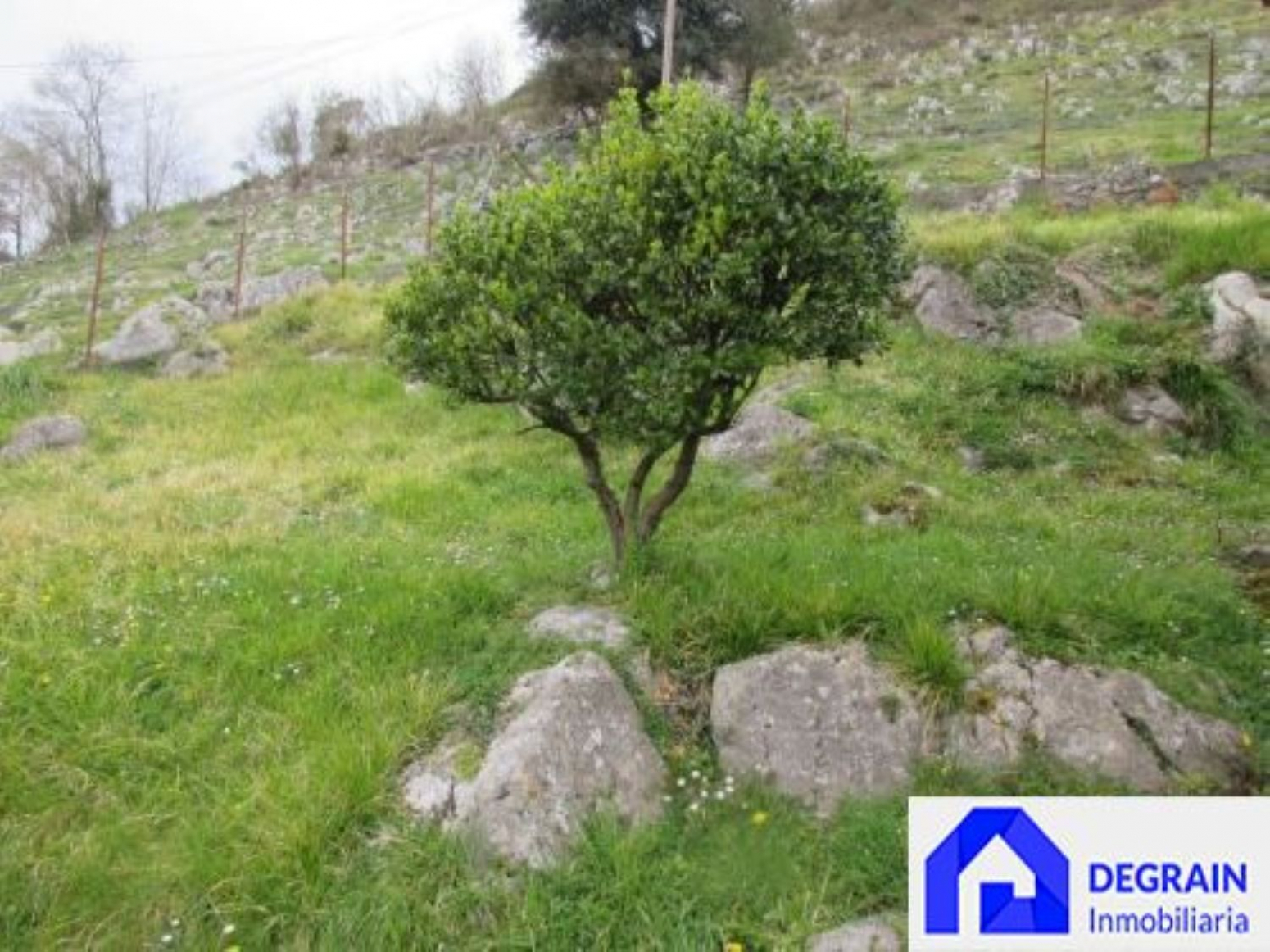 Casas o chalets-Venta-Somiedo-1051365-Foto-6