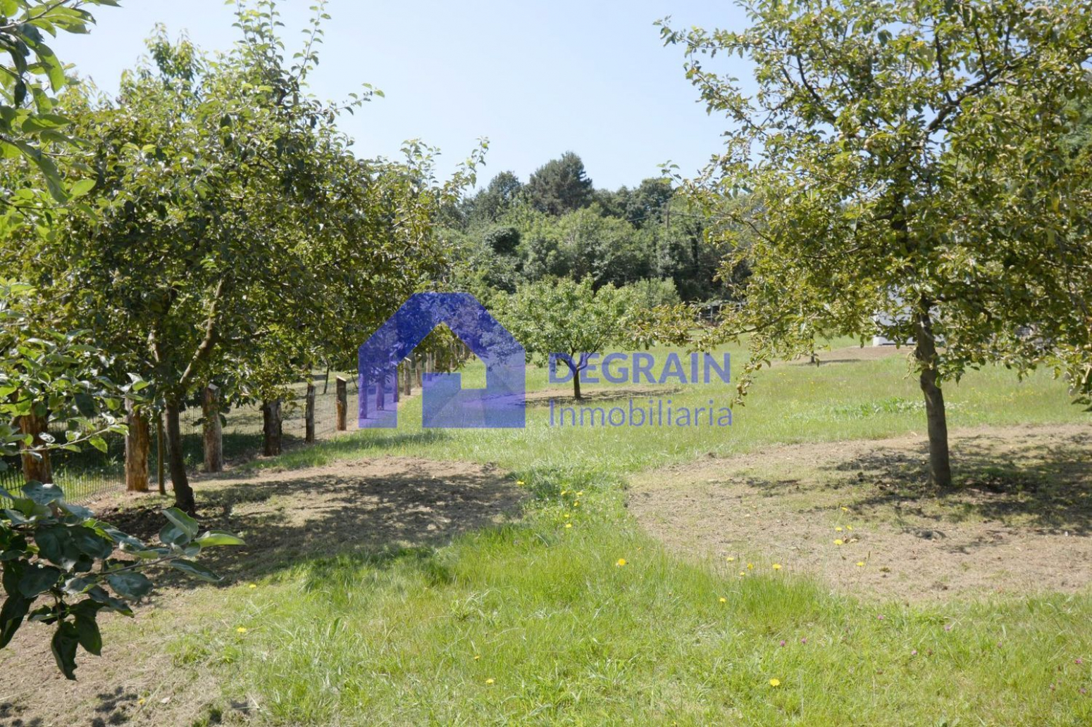Fincas y solares-Venta-Siero-1051513-Foto-26