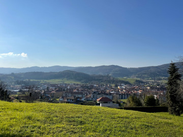 Fincas y solares-Venta-Villaviciosa-807004